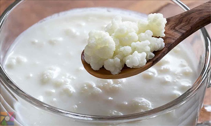 kefir nedir faydalari nelerdir